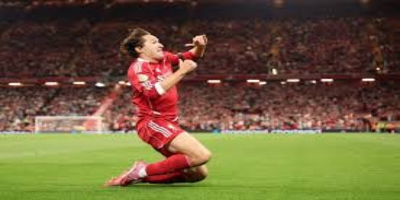 三大看点：战术应变、关键球员与心理韧性全面解析 - IM体育