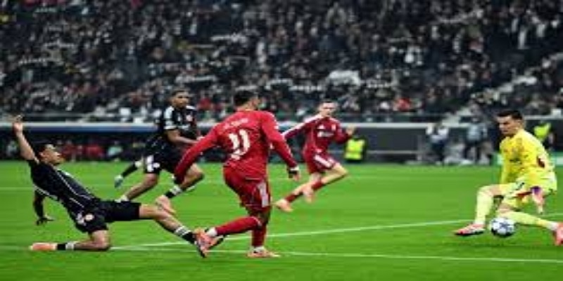 米德玛的王朝：IM体育见证女足力量的持续崛起- IM体育