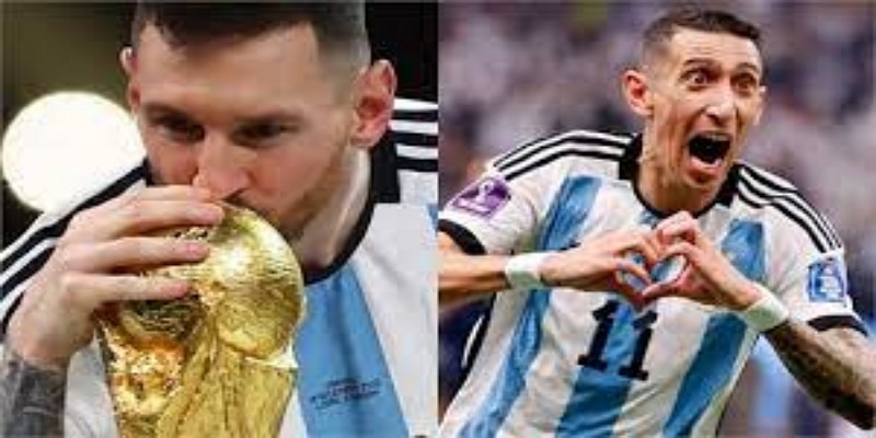 跨界学习的战术价值-  IM体育