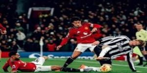 短期震荡与长期回报的博弈-IM体育